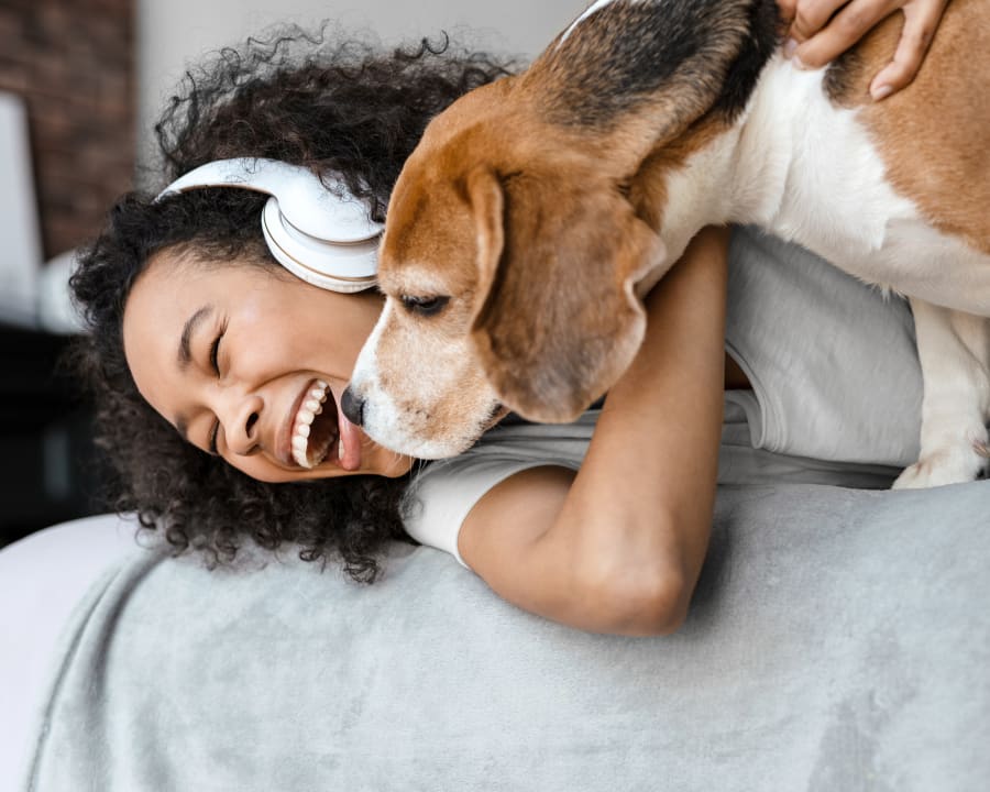 Chinook Pet Clinic in Lethbridge