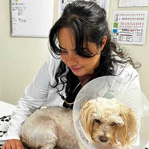 Dr. Fabiola Cardona, Lethbridge Veterinarian