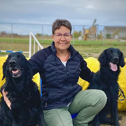 Lethbridge Veterinarian