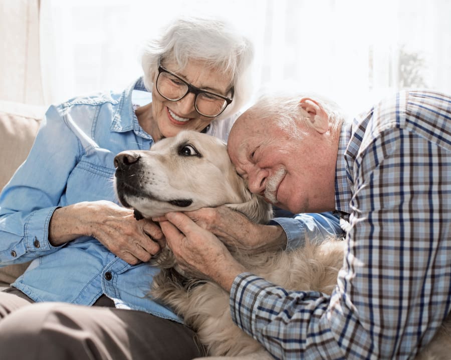 Geriatric Care for Pets, Lethbridge