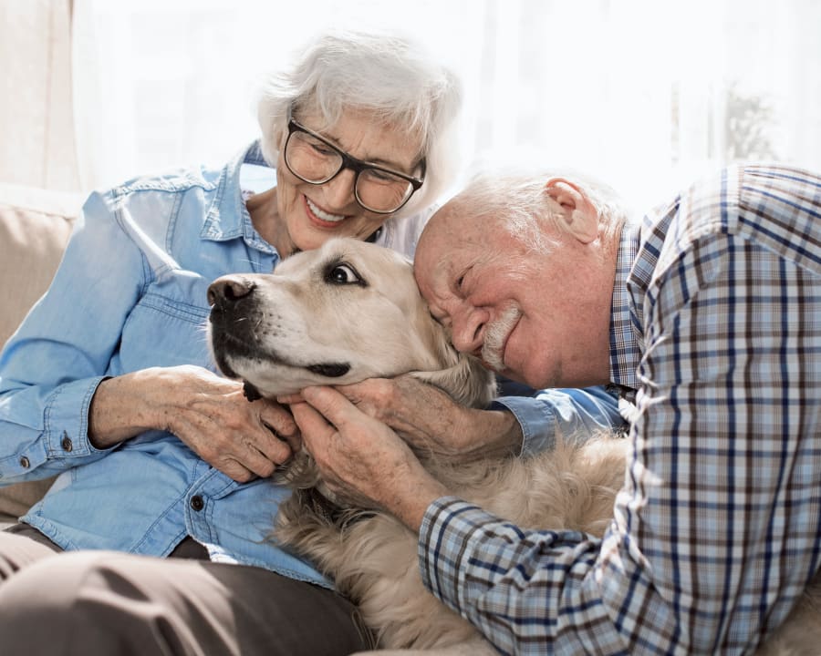 Geriatric Care for Pets, Lethbridge