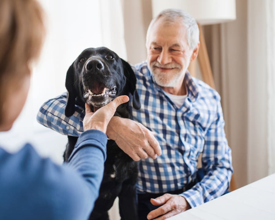 Vaccinations & Parasite Prevention Services, Lethbridge